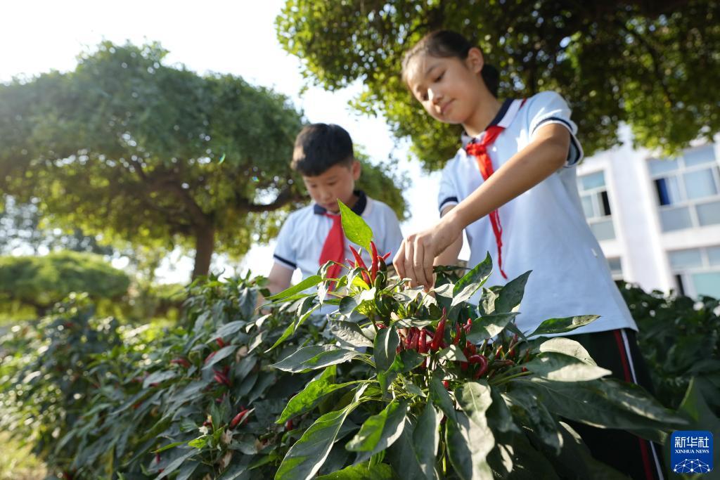 梭哈类手机游戏
